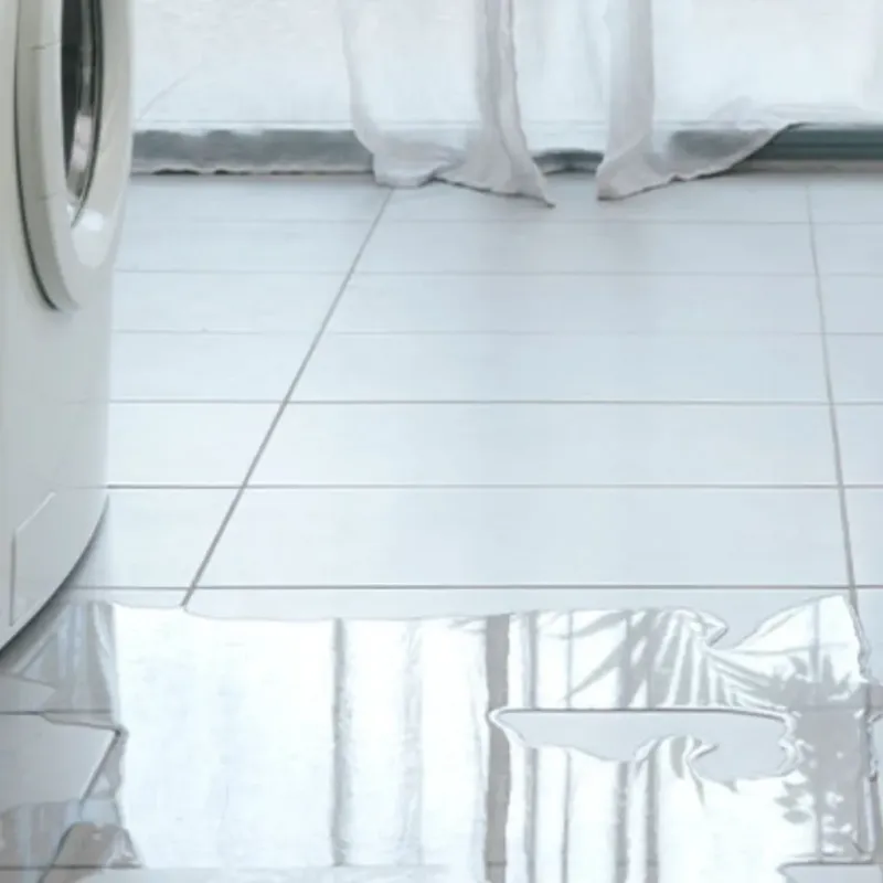 Appliance Leak Cleanup in Midway, KY