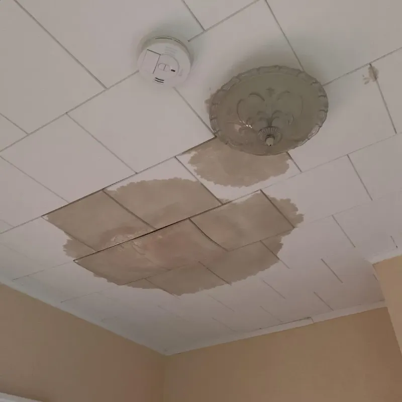 Ceiling Water Damage Repair in Midway, KY