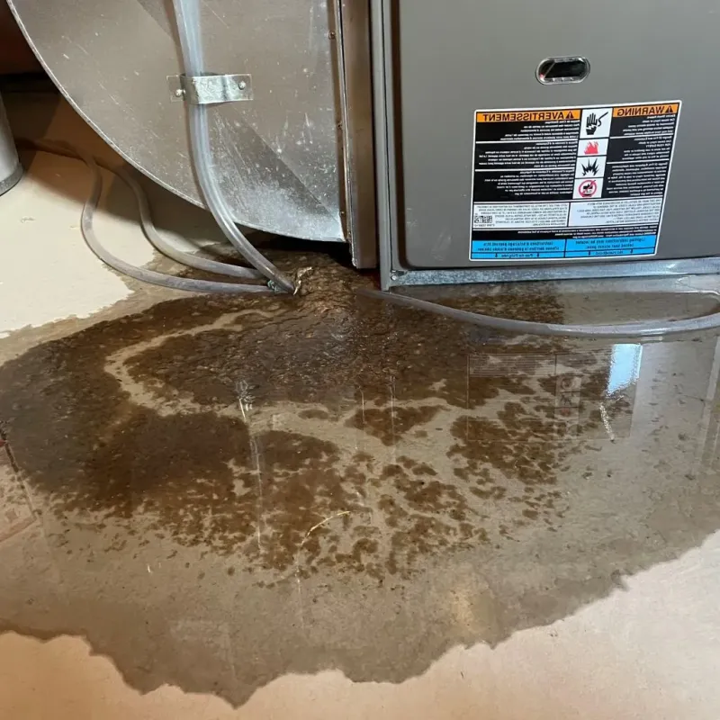 Pipe Burst and Leak Restoration in Midway, KY