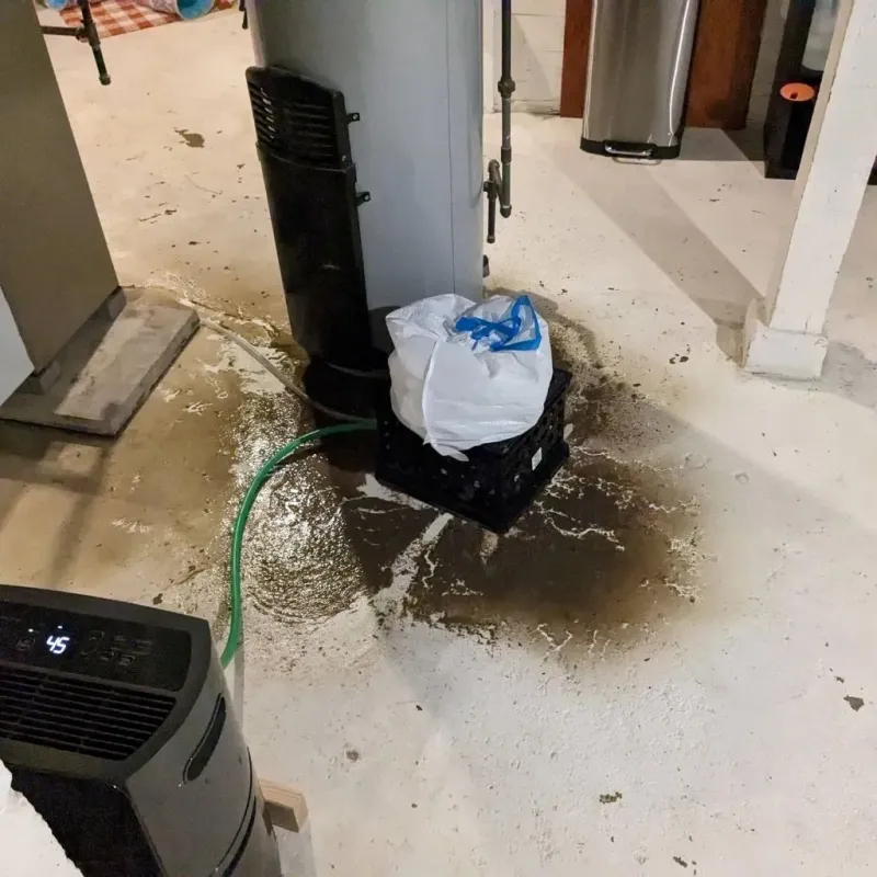 Sewage Backup Cleanup Service in Midway, KY